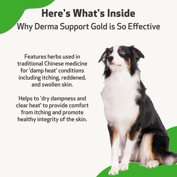 Derma Support Gold for Dogs Healthy Coat, Odor & Itching (2 oz)