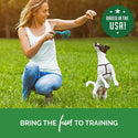 Buddy Biscuits Trainers Training Bites Chicken Flavor Dog Treats (10 oz)