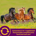 Horse Health Products Joint Combo Hoof & Coat 3-in-1 Apple Flavor Pellets Horse Supplement (8 lb)