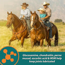 Farnam Next Level Joint Fluid Supplement, Supports Healthy Hip & Joint Function for Horses & Dogs (16 oz)