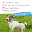 Adams Plus Flea and Tick Collar for Large Dogs