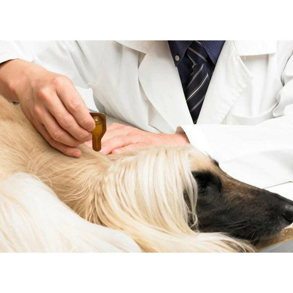 Dermoscent Essential-6 SpotOn Skin Care for Large Dogs 45-90 lbs (4 count)