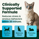 VetriScience Calm & Confident Composure Granules for Cats, 2.75-oz-2