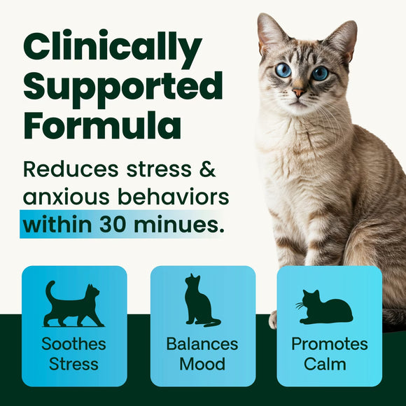 VetriScience Calm & Confident Composure Granules for Cats, 2.75-oz