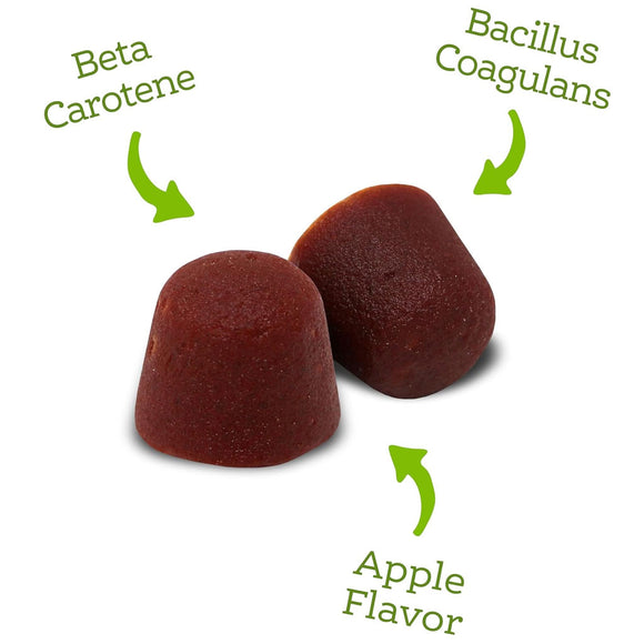 NutriSource AmpliFull Immune & Digestive Support Gummies Dog Supplement, Apple Flavor