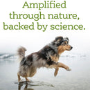 NutriSource AmpliFull Immune & Digestive Support Gummies Dog Supplement, Apple Flavor