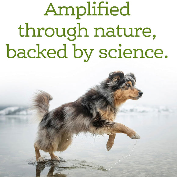 NutriSource AmpliFull Immune & Digestive Support Gummies Dog Supplement, Apple Flavor