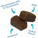 NutriSource AmpliFull Mobility Soft Chews Dogs Supplement, Turkey Flavor, 70-count-2