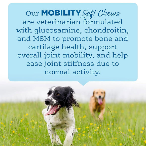 NutriSource AmpliFull Mobility Soft Chews Dogs Supplement, Turkey Flavor, 70-count