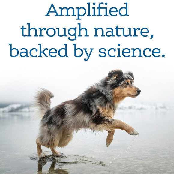 NutriSource AmpliFull Mobility Soft Chews Dogs Supplement, Turkey Flavor, 70-count