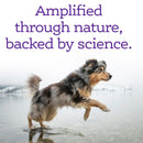 NutriSource AmpliFull Calming Soft Chews Dogs Supplement