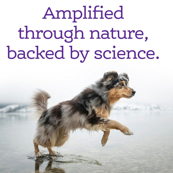 NutriSource AmpliFull Calming Soft Chews Dogs Supplement