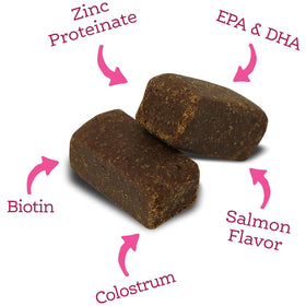 NutriSource AmpliFull Skin & Coat Soft Chews Dogs Supplement, Salmon Flavor