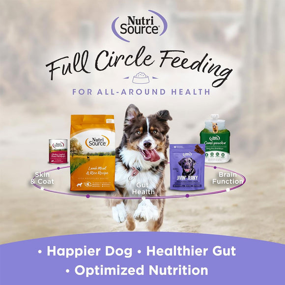 NutriSource AmpliFull Skin & Coat Soft Chews Dogs Supplement