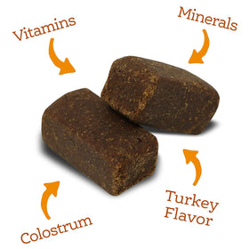 NutriSource AmpliFull Multivitamin Soft Chews Dogs Supplement, Turkey Flavor