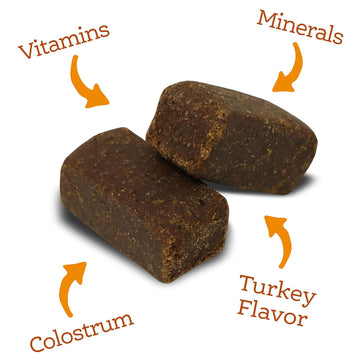 NutriSource AmpliFull Multivitamin Soft Chews Dogs Supplement, Turkey Flavor