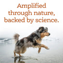 NutriSource AmpliFull Multivitamin Soft Chews Dogs Supplement, Turkey Flavor