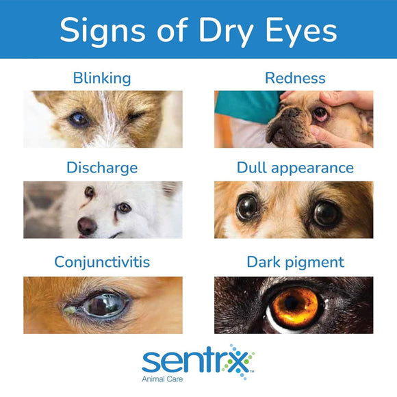 Sentrx Eye Lube Pro for Pets