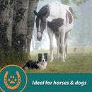 Farnam Next Level Joint Fluid Supplement, Supports Healthy Hip & Joint Function for Horses & Dogs (16 oz)