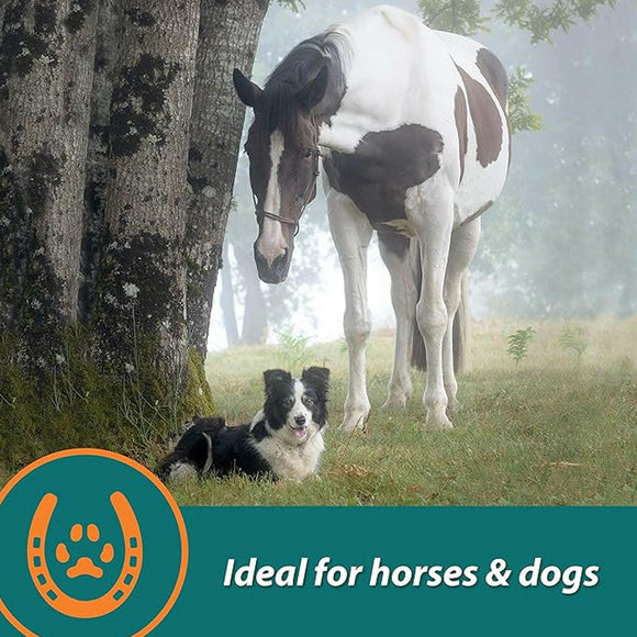 Farnam Next Level Joint Fluid Supplement, Supports Healthy Hip & Joint Function for Horses & Dogs (16 oz)