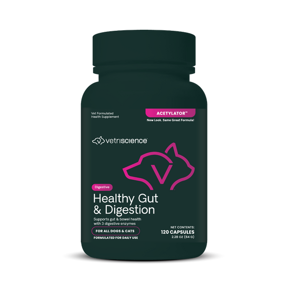 VetriScience Acetylator Digestive Supplement for Cats & Dogs (120 caps)