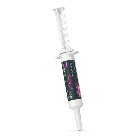 VetriScience Fast Balance G.I. Paste Gastrointestinal Support for Cats & Dogs (35 cc)