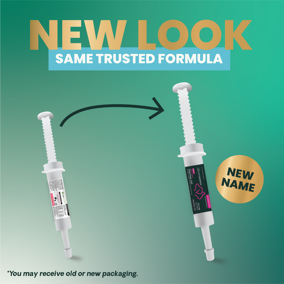 VetriScience Fast Balance G.I. Paste Gastrointestinal Support for Cats & Dogs (35 cc)