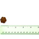 VetriScience Golden Years Clear and Bright Eye Health for Senior Dogs (60 soft chews)-5