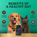 VetriScience Vetri Mega Probiotic Capsules for Cats & Dogs