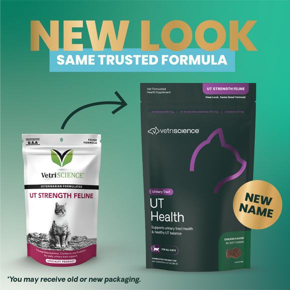 VetriScience UT Strength Urinary Tract Support for Cats (60 Bite-Sized Chews)