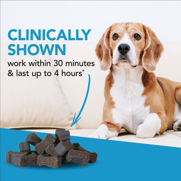 composure treats for dogs