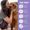 Health Extension Bully Puffs Chicken & Cheddar Dog Treats (5 oz)-4