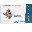 Revolution for Cats 5.1-15 lbs 6 doses
