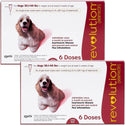 Revolution for Dogs 20.1-40 lbs 12 doses