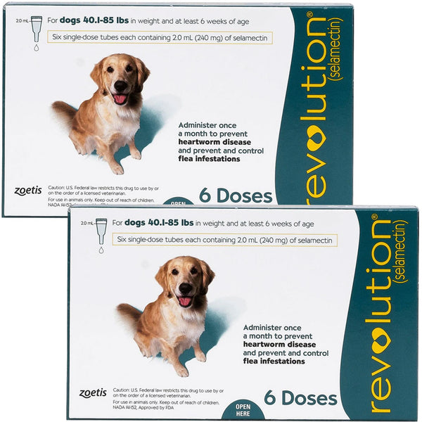 Revolution for Dogs 40.1-85 lbs 12 doses