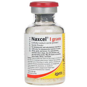 Naxcel Sterile Powder for Multiple Species of Animals, 1-g