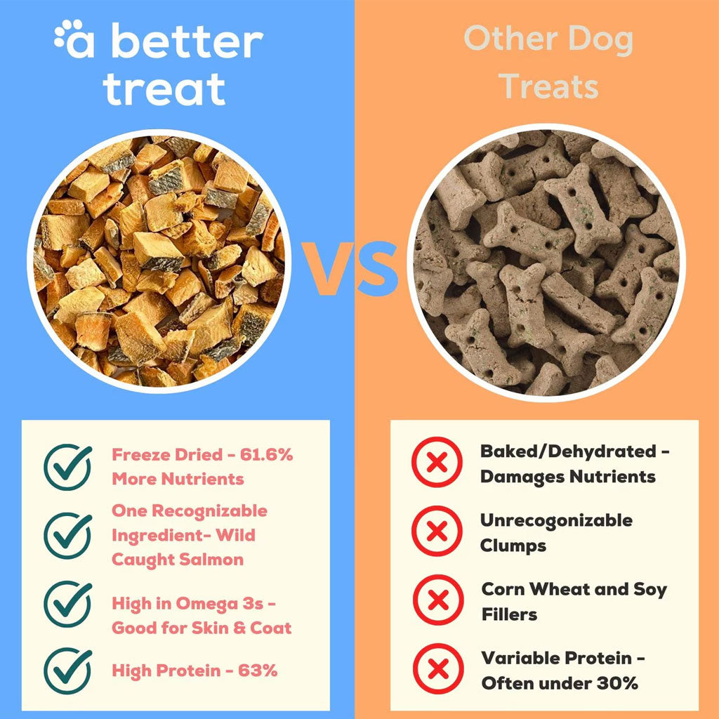 A Better Treat Wild Caught Salmon Freeze Dried Treats for Dogs & Cats