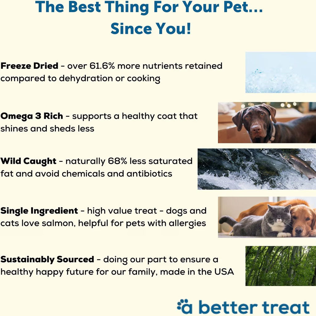 A Better Treat Wild Caught Salmon Freeze Dried Treats for Dogs & Cats