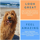 A Better Treat Free Range Chicken Breast Freeze Dried Treats for Dogs & Cats, 3-oz-7