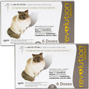 Revolution for Cats 15.1-22 lbs 12 doses