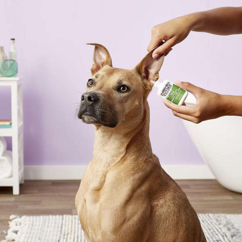 zymox otic enzymatic solution with dogs