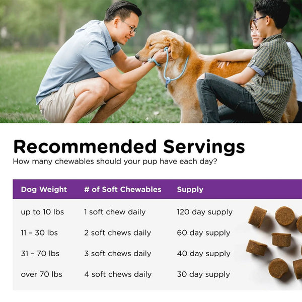 Nutri-Vet Pre & Probiotic Digestive Supplement for Dogs