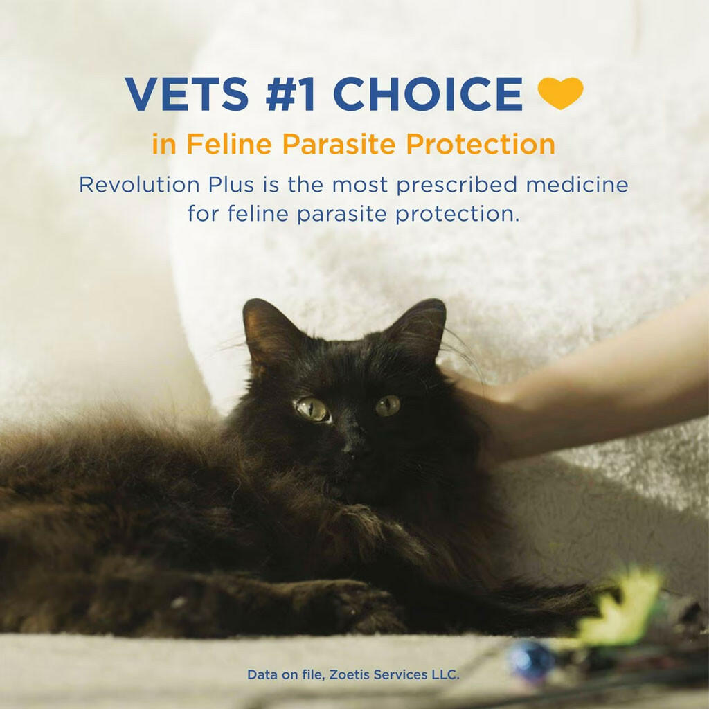 Revolution plus gatos is the vets #1 choice in feline parasite protection