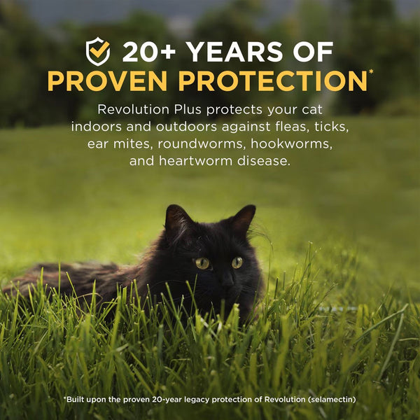 Revolution PLUS for Cats 11.1-22 lbs proven protection