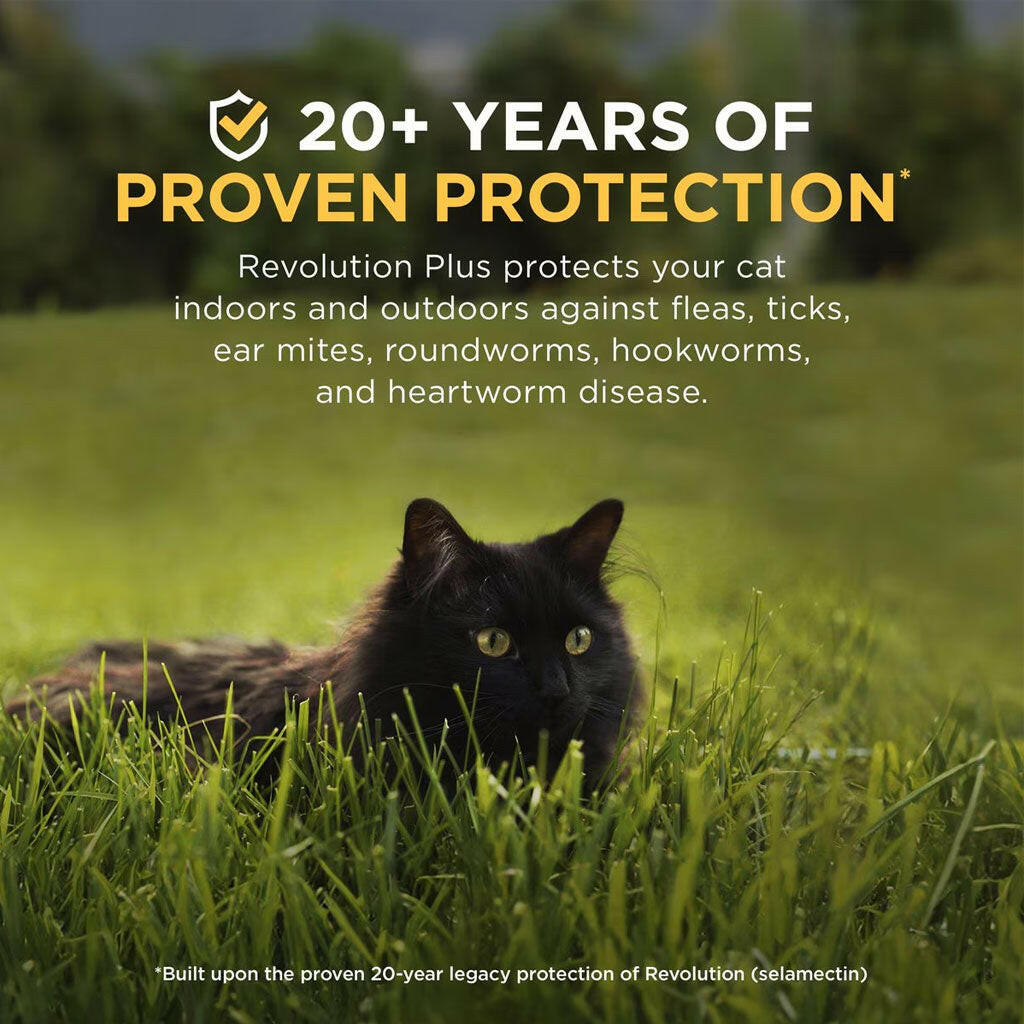 Feline revolution plus protects againsts fleas,ticks, ear mites, roundworms, hookworms, and heartworm disease year round