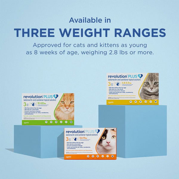 Revolution PLUS for Cats 2.8-5.5 lbs 3 sizes