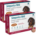 Simparica Trio for Dogs 11.1-22.0 lbs 12 chewables