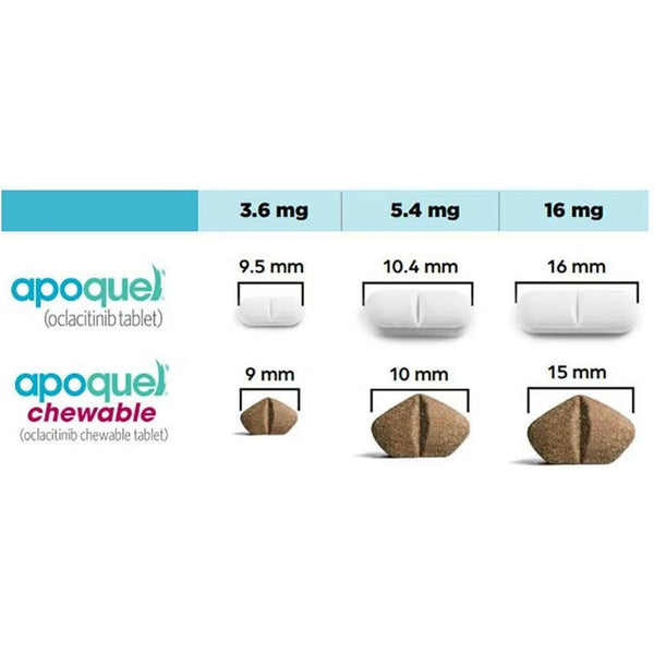 gabapentin and apoquel gabapentin and apoquel