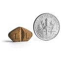 Apoquel chewable tablets 16mg shown next to a quarter for size gauging.