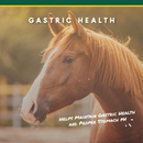 U-Gard Gastric Support Pellets for Horses-3